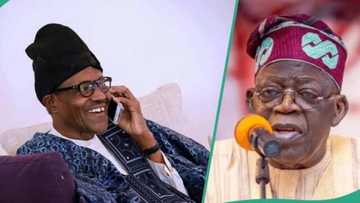 Tsohon jigon APC ya bayyana illolin da Buhari ya yiwa Arewa, ya tabo Tinubu