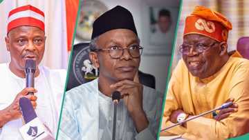 "Kungiyar nadamar tarayya da Tinubu": ɗan PDP ya yi shaguɓe ga El-Rufai, Kwankwaso