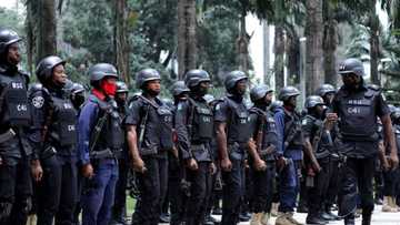 ‘Yan Bindiga Sun Yi Awon Gaba da Basarake a Kudancin Najeriya a Cikin Jirgi