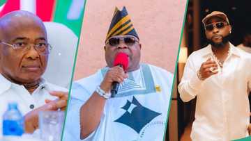 Imo Governor Uzodimma distances self from aide's remark directed at Davido