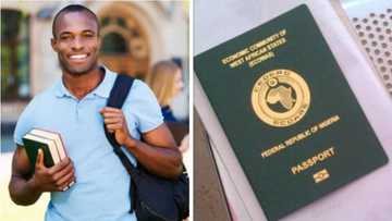 Nigerians to pay more as UK government increases cost of work, study, visit visas