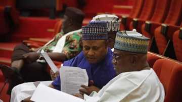 Senate passes Uba Sani’s firearms bill as stiffer penalty awaits offenders