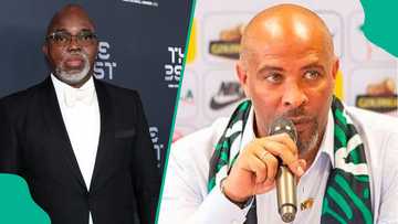 Amaju Pinnick explains why Nigeria must qualify for 2026 World Cup after Chelle's unveiling