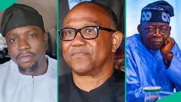 VeryDarkMan responds after President Tinubu's aide compares him to Peter Obi: "You have failed"