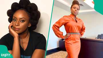 Chimamanda Adichie’s son’s demise: medical panel takes action against Euracare doctors