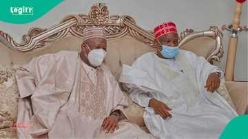 "Kai ma yaro na ne," Ganduje ya dauko tarihi yayin maida martani ga kalaman Kwankwaso