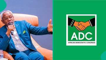 Tinubu's chief of staff Gbajamiamila breaks silence over creation of ADC coalition to defeat APC