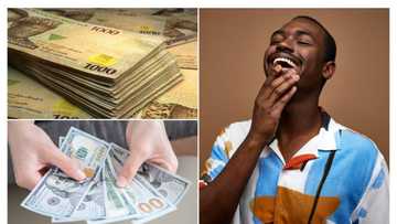 Naira continues to climb, exchanges for N860 per dollar amid forex liquidity