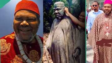 "There is a mistake": Nigerians react to human-size sculpture of Pete Edochie Enugu lady moulded