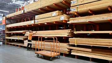US tariffs on lumber imports set for October 14