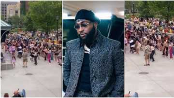 Fans react as over 300 Oyinbos at a Park in Germany do Davido's Unavailable dance challenge, clip goes viral