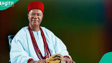 Obasanjo, others grace event as The Delborough celebrates Obi of Onitsha at 85