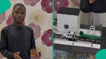 Shigo da Makamai: Matashi Dan Sokoto Ya Kawo Fasahar Dakile Matsalar a Iyakoki