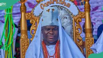 "We are the same": Ooni of Ife speaks on Igbos' ancestral links with Yorubas