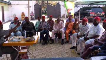 Igbo National Council reacts to IPOB's October 1 sit-at-home order