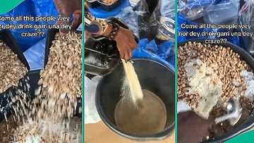 Nigerian students organise funny festival, soak huge bowl of garri with granola, groundnuts in video