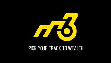 M36 redefines digital investing in Nigeria, offers investors the Freedom to Choose