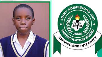 2025 UTME: Catholic School Shows Result of 33 Students With Over 300 in JAMB, Highest Score Trends