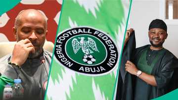 Japheth Omojuwa weighs in on Eric Chelle's controversial terms for continuing as Super Eagles coach