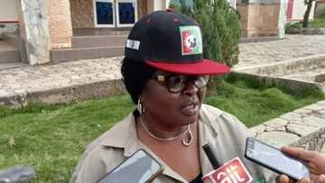 2023: Peter Obi has wide acceptability in northern Nigeria, says Iliya