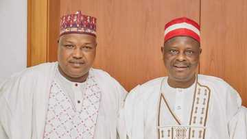 Yanzu Yanzu: Allah Ya Yiwa Na Hannun Daman Kwankwaso, Kabir Magashi, Rasuwa