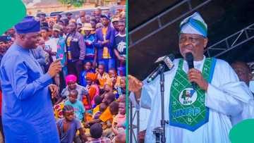 Is Kwankwaso joining APC? Yilwatda finally breaks silence