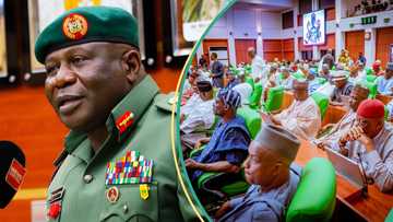 Just in: House of Reps confirms Oluyede as Chief of Army Staff, details emerge