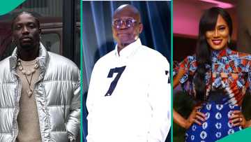 VDM vs Abati: Critic drags politician for arguing with Arise TV's Ojinika, confesses feelings to her