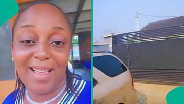 Woman panics after spotting dangerous creature at her gate, video grabs attention