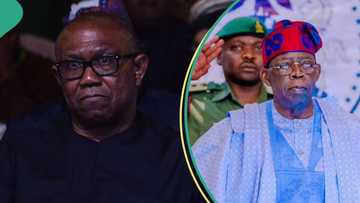 Peter Obi plotting major coup to unseat Tinubu, LP's factional leader alleges