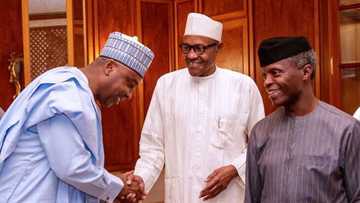 Onnoghen: Party calls on National Assembly to declare Saraki as president