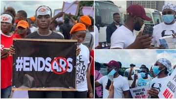 Breaking: Confusion as northern youths reject EndSARS protest, back activities of SARS officers (full statement)