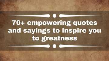 70+ empowering quotes and sayings to inspire you to greatness