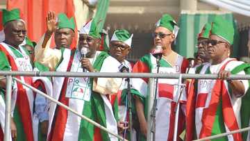 Steve Hanke’s report validates our position about Nigeria under Buhari - PDP
