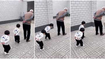 "They are funny": Twin kids imitate the way their grandfather walks, video of Their bent movement goes viral