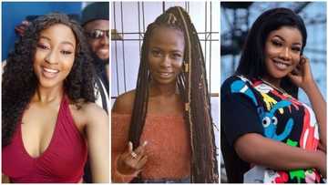 BBNaija: Ella said Tacha has body odour or mouth odor - KimOprah