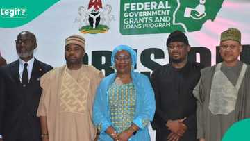 FG begins N75bn single-digit interest rate loan to boost growth of 75,000 MSMEs