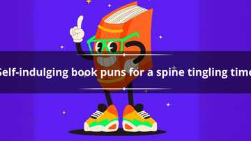 130+ shelf-indulging book puns for when it's all pun and games