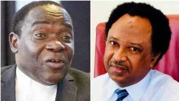 Ku ƙyale Kukah ku mayar da hankali kan ƴan bindiga, Shehu Sani ya fadawa matasan Arewa