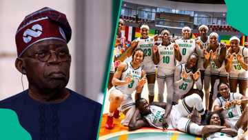 Tinubu salutes D’Tigress after reaching AfroBasket final, fans want $100,000 reward