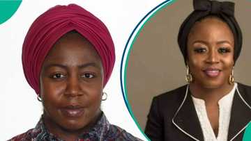 Expert advocates a novel approach to leveraging data finance for SME growth in Nigeria