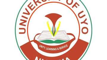 UNIUYO portal admission, login, requirements and fees 2024