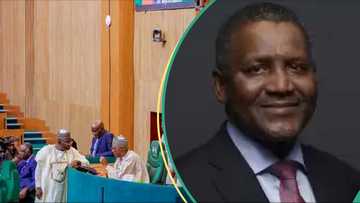 Matatar Dangote: Majalisa ta dauki mataki ganin an samu sabani da gwamnatin tarayya