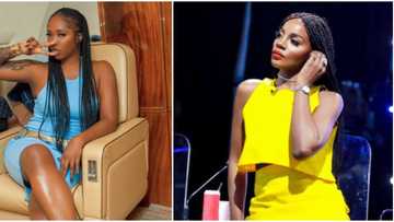 Tiwa Savage ends beef with Seyi Shay after she congratulated her amazing performance at Global Citizen Concert