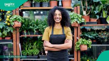 Big news for creative entrepreneurs as UK, Lagos state partners 3 others to launch N1.5 billion fund