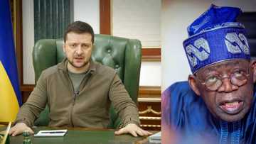 "Mu Yi Aiki Tare", Shugaban Ukraine, Zelenskyy Ya Tura Sakon Taya Murna Ga Bola Tinubu