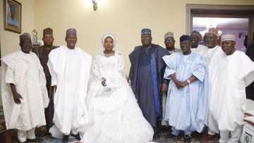 Dangote, Ahmad Lawan da wasu jiga-jigan 'yan Najeriya sun hallarci daurin auren 'yar Gwamna Sule (Hotuna)