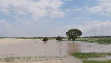 Ambaliyar ruwa ta salwantar da rayuka 8, gonakin sun kwashe a Katsina