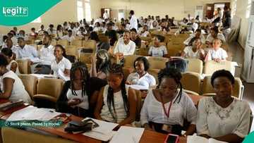 Just in: ASUU begins indefinite strike in Nigerian federal university, gives reason