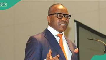 Former NNPC chief Kachikwu gets new major appointment